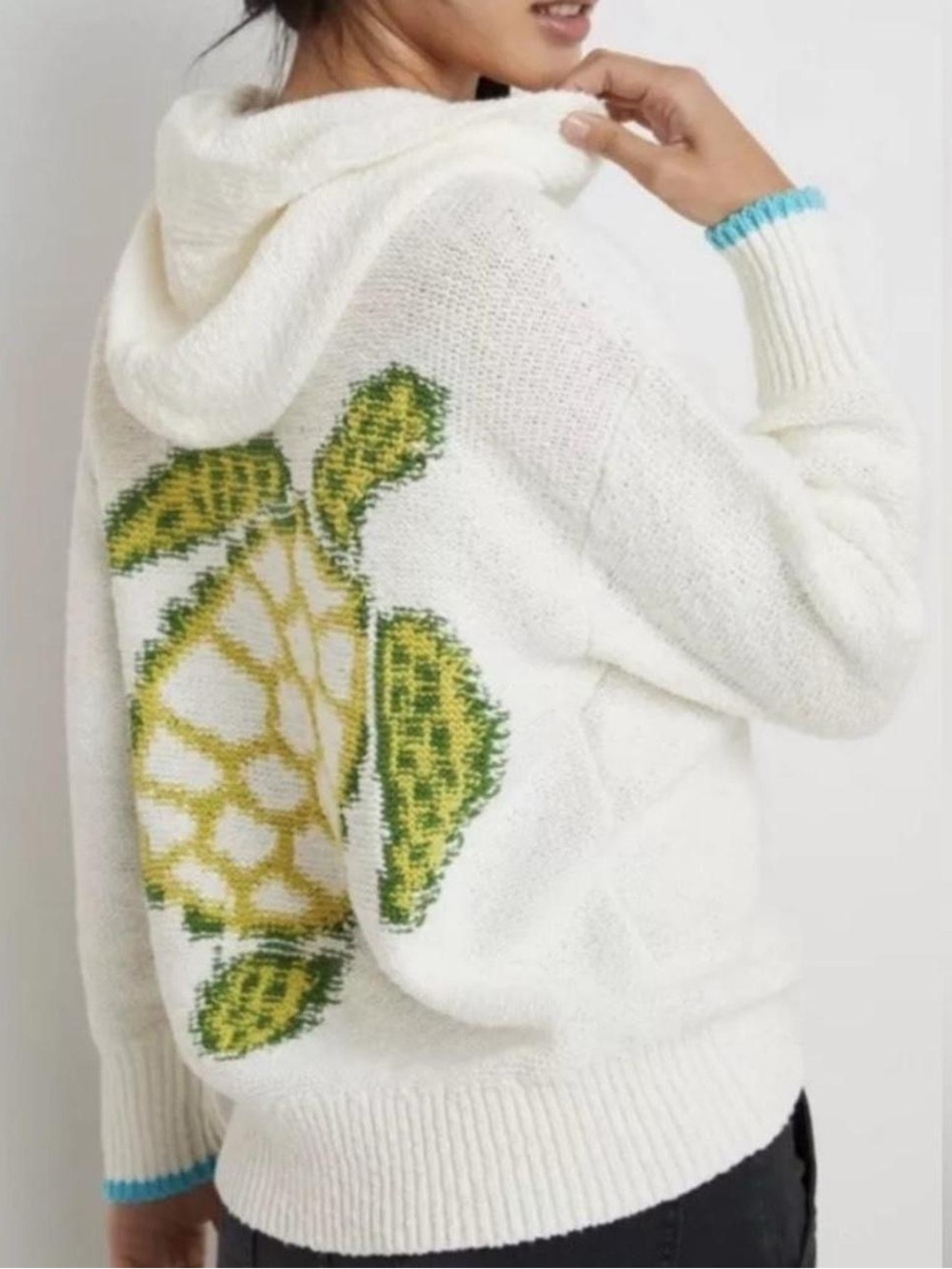 Anthropologie Galapagos turtle intarsia sweater hoodie
